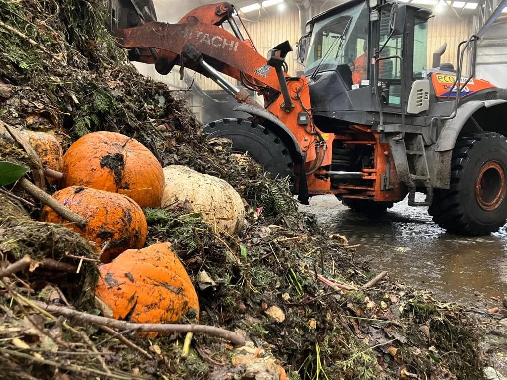 An orange industrial loader with a large bucket moves a pile of composting organic matter including several pumpkins.